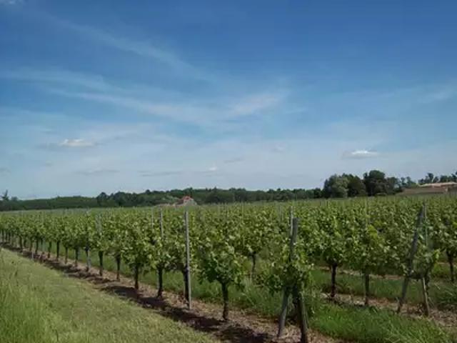 Lugon et l'Ile du Carnay 33240 Programme neuf terrain neuf à vendre
