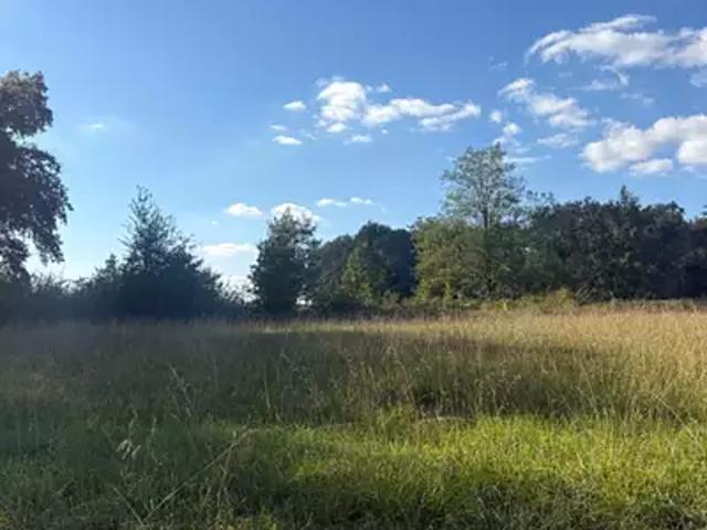 Lugon et l'Ile du Carnay 33240 Programme neuf terrain neuf à vendre