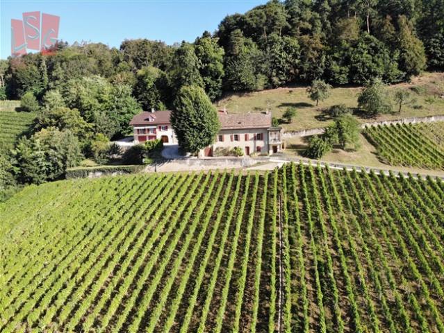 Luins, Weingut mit Wald, atemberaubender Seeblick