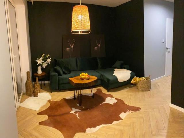 BEZ POŚREDNIKÓW KATOWICE BOGUCICE mieszkanie LUX