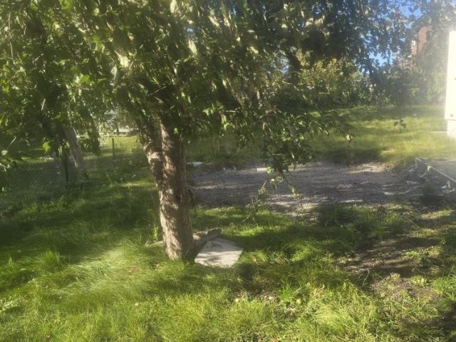 Lupinvägen, Hässelby