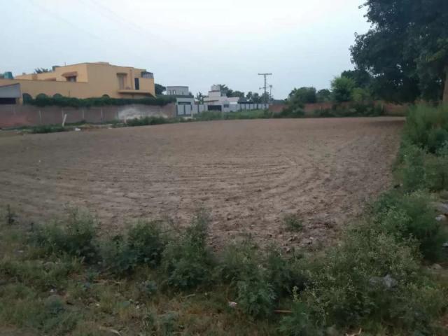 Lush green land for farm house in bedian road karbath haveli Lahore Bedian Road ID 07572