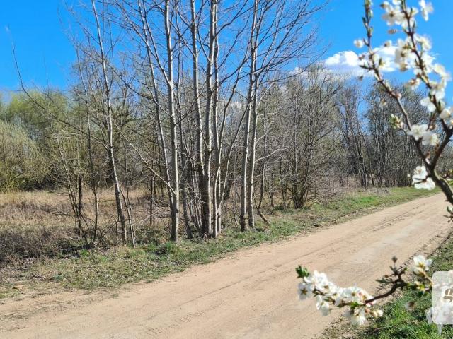 Lusowo, 1 438 m2