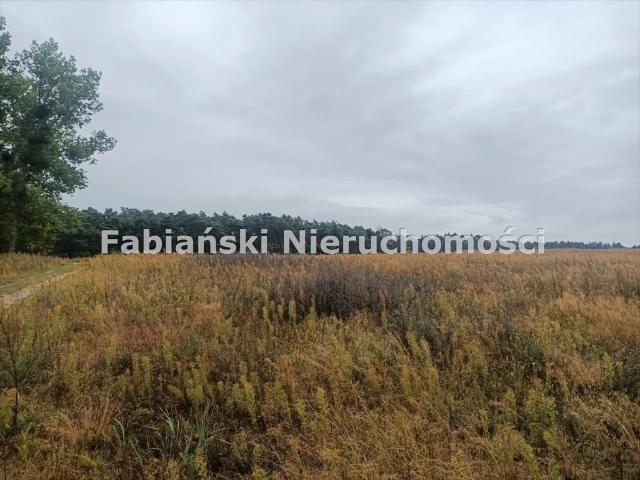 Lusówko, 1 224 m2