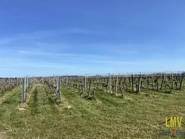Lussac 33570 Achat / Vente terrain