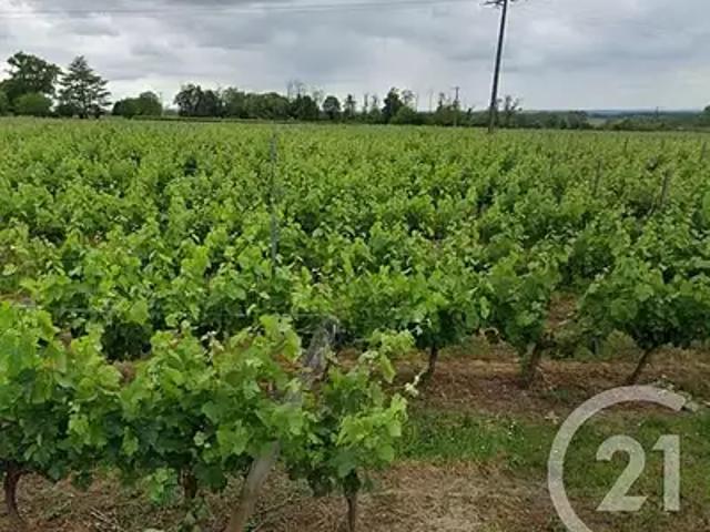 Lussac 33570 Achat / Vente terrain