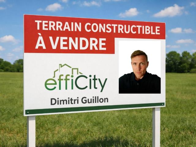 Lussac les Châteaux Vente Terrain 86