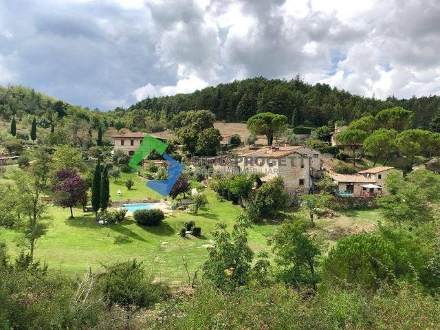 Lussuoso casale in vendita Via Fiorentina, Castellina in Chianti, Siena, Toscana