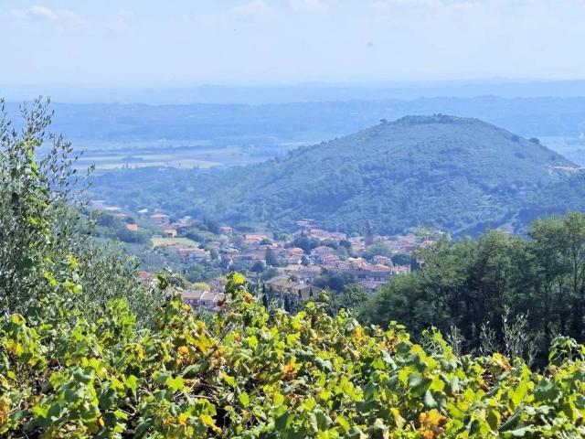 Lussuoso casale in vendita Buti, Toscana
