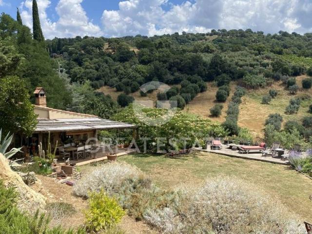 Lussuoso casale in vendita Strada Provinciale Aione, Magliano in Toscana, Toscana