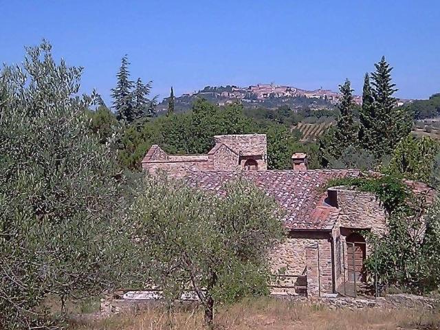 Lussuoso casale in vendita Montepulciano, Italia