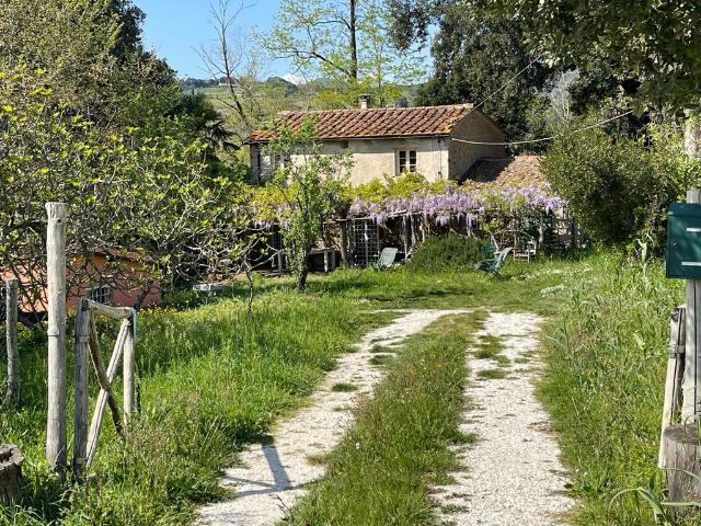Lussuoso casale in vendita Montescudaio, Toscana