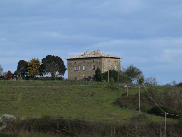 Lussuoso casale in vendita Orvieto, Italia