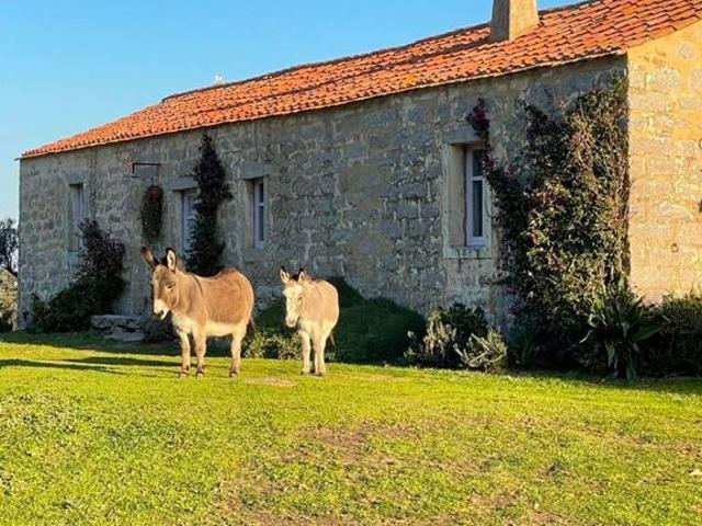 Lussuoso casale in vendita Palau, Sardegna