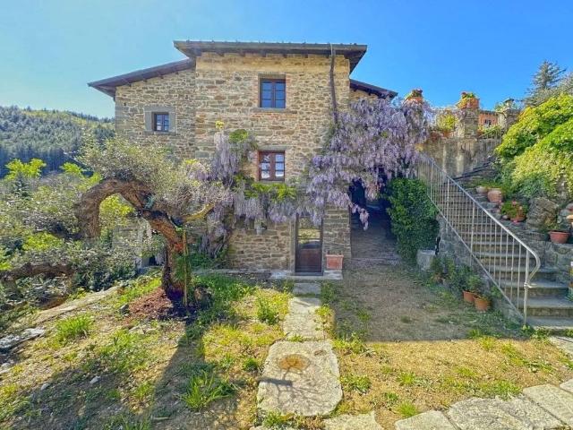 Lussuoso casale in vendita Reusa, Casola in Lunigiana, Massa Carrara, Toscana