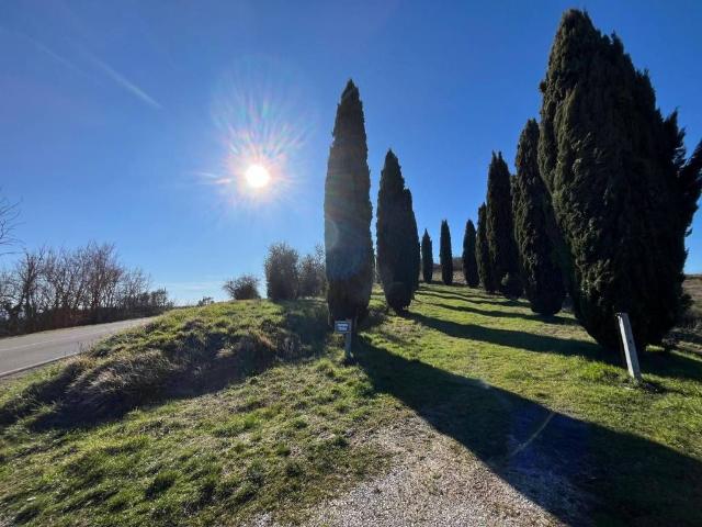 Lussuoso casale in vendita Strada statale 54, Monteleone d'Orvieto, Provincia di Terni, Umbria