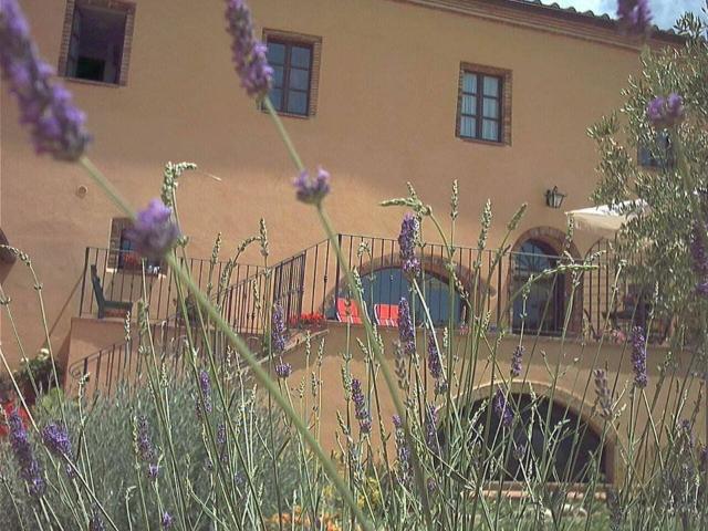 Lussuoso casale in vendita strda provinciale voltina, 100, Campagnatico, Grosseto, Toscana