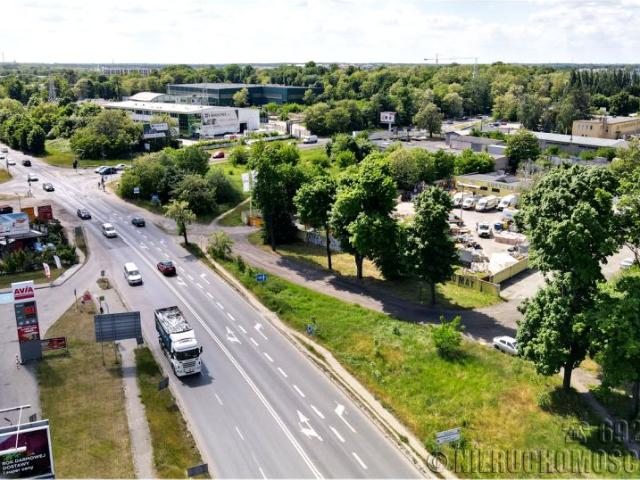 Lutycka 1 133 m², Poznań