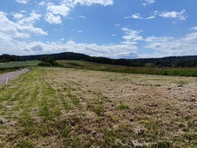 Lutcza, 2000 m² Działka