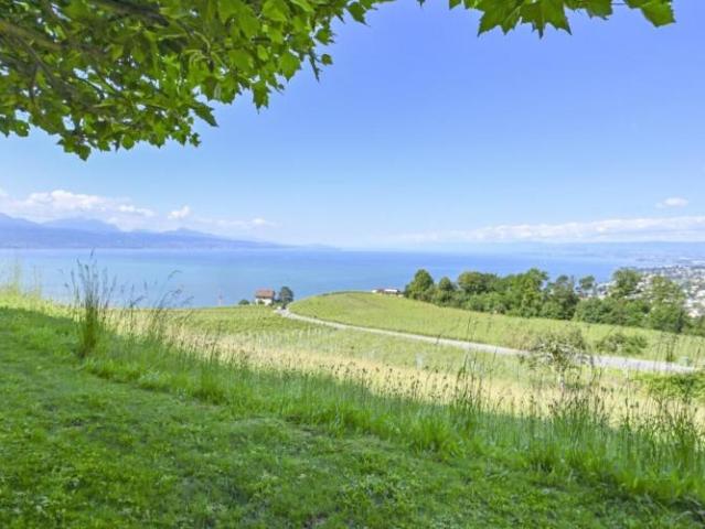 Lutry – einzigartig! Prächtige villa inmitten der weinberge