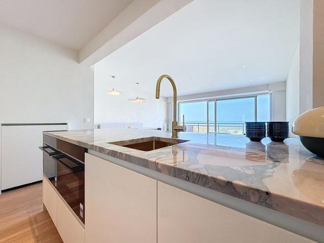 Luxueus appartement met frontaal zeezicht te Nieuwpoort Bad