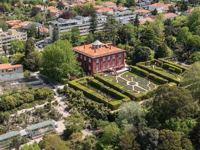 Luxuosa Propriedade com Vista para o Rio no Porto
