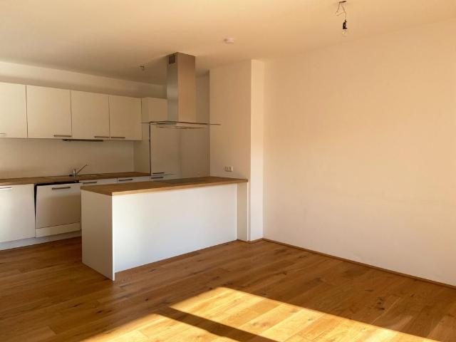 Luxus Apartment mit 138 m2 zu vermieten in Franz Kurz Straße, 6, Ansfelden, Politischer Bezirk Linz Land, Oberösterreich