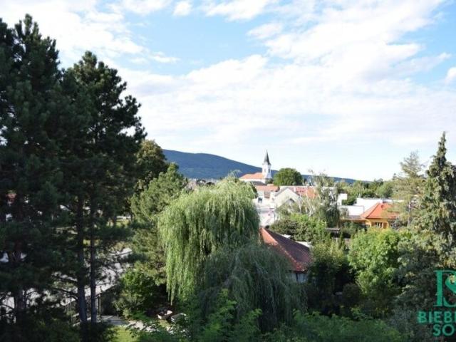 Luxus Haus mit 5 Zimmer zu verkaufen in Traiskirchen, Niederösterreich