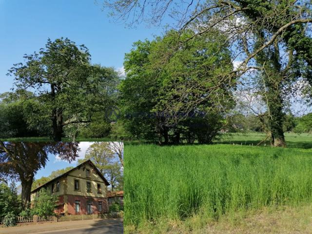 Luxus Haus mit 7 Schlafzimmer zu verkaufen in Gyhum, Niedersachsen