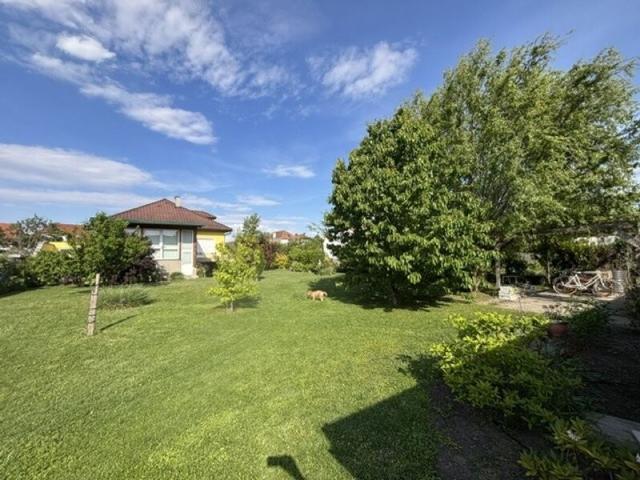 Luxus Haus mit 3 Zimmer zu verkaufen in Winden am See, Burgenland