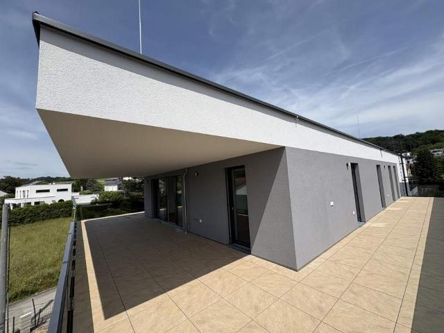 Luxus Penthouse inklusive 3 TG Plätze | Erstbezug | Harmonia Puchenau Miete