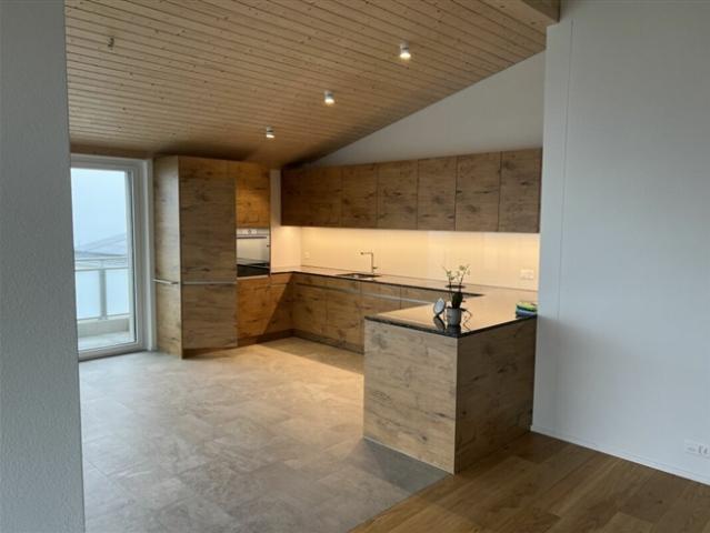 Luxusdachwohnung mit traumhafter Aussicht