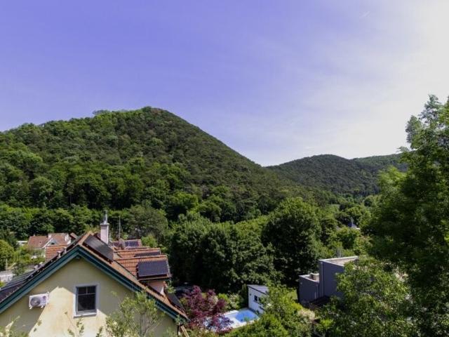 Luxuriöse 6 Zimmer Villa zu verkaufen in Hinterbrühl, Österreich