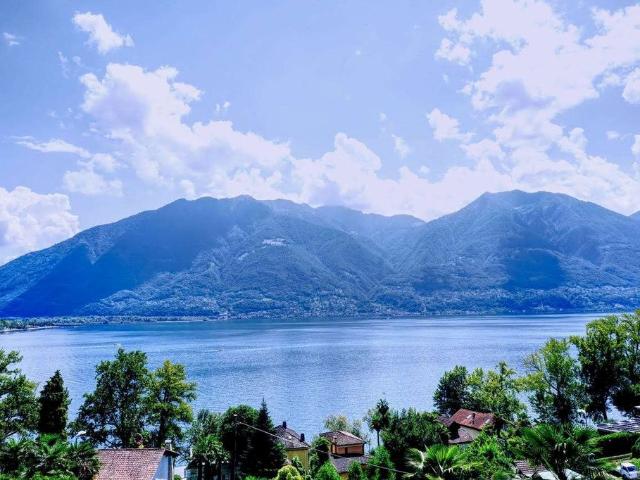 Luxuriöse Wohnanlage zu verkaufen Minusio, Kanton Tessin
