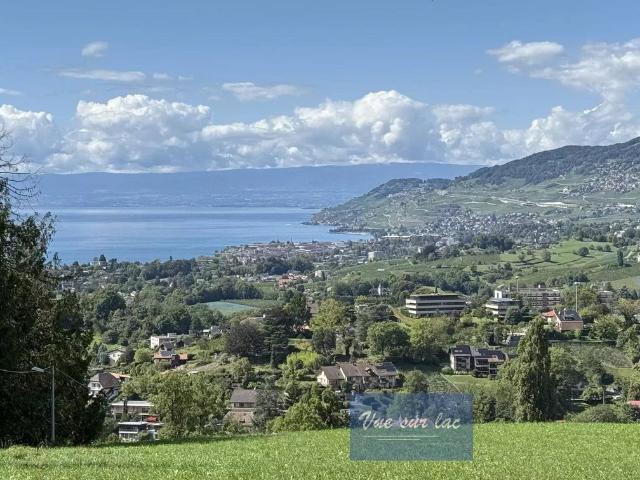 Luxuriöse Villa, 4 Schlafzimmer, zu verkaufen in Chernex, Kanton Waadt