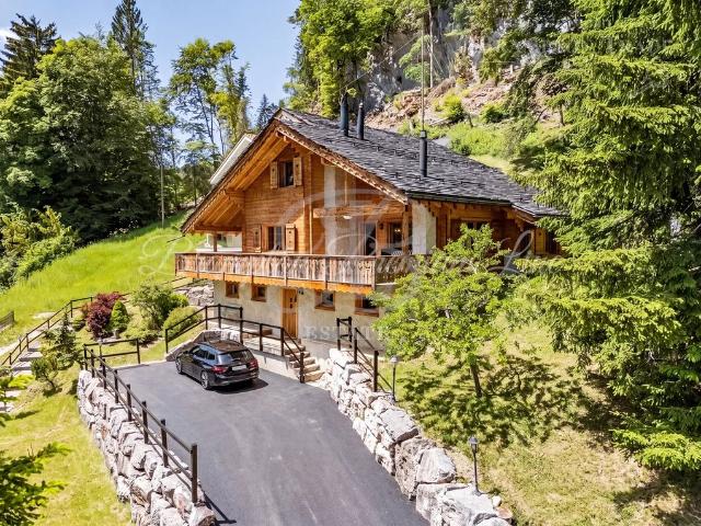 Luxuriöses Chalet zu verkaufen Saint Cergue, Kanton Waadt