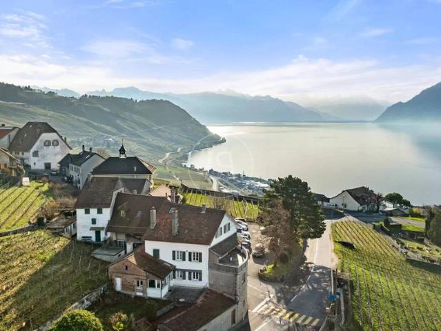 Luxuriöses Haus mit 7 Schlafzimmer zu verkaufen in Grandvaux, Schweiz