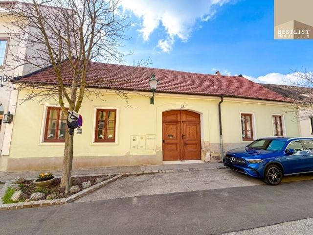 Luxuriöses Haus zu verkaufen in Gumpoldskirchen, Niederösterreich