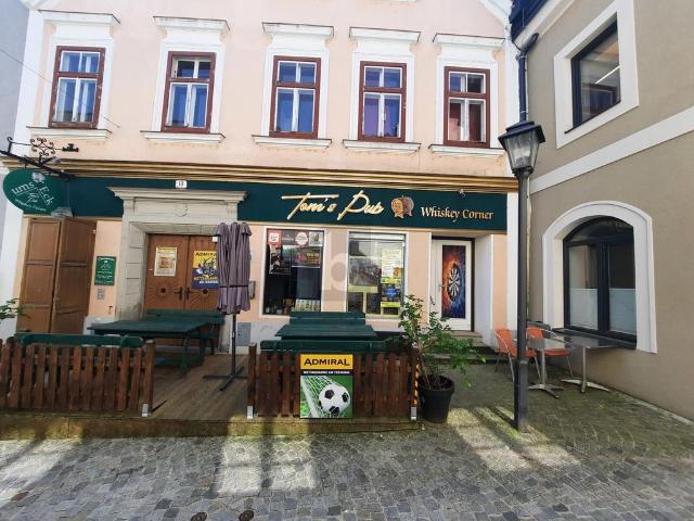 Luxuriöses Haus zu verkaufen in Waidhofen an der Ybbs, Niederösterreich
