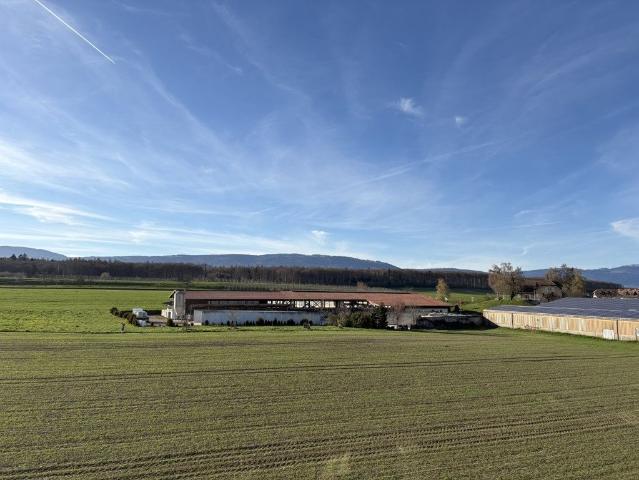 Luxuriöses Penthouse mit 99 m2 zu verkaufen Cossonay, Kanton Waadt