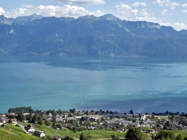 Luxuriöses 4 Zimmer Duplex zu verkaufen in Grandvaux, Schweiz