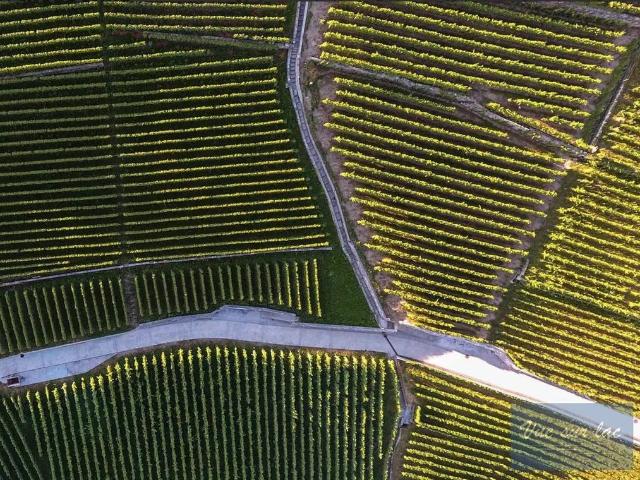 Luxuriöses 5 Zimmer Chalet zu verkaufen Chardonne, Schweiz