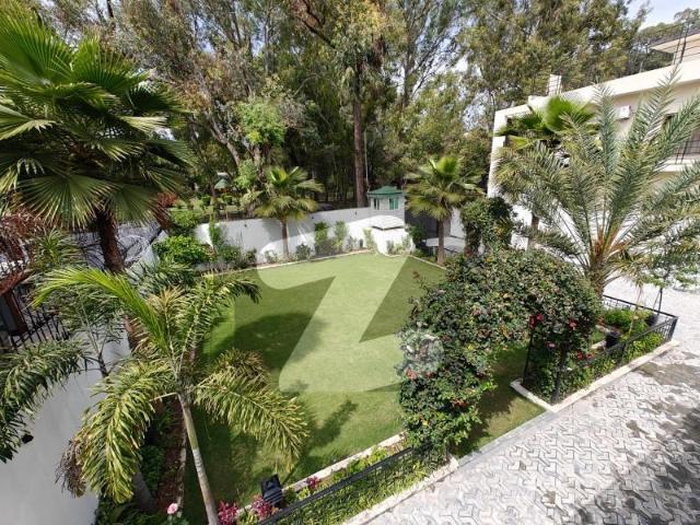 Luxurious 1200 Sq. Yd. Full House for Rent in G 6/4 Bazar Road | Huge Garden, Solar & Generator Installed G 6
