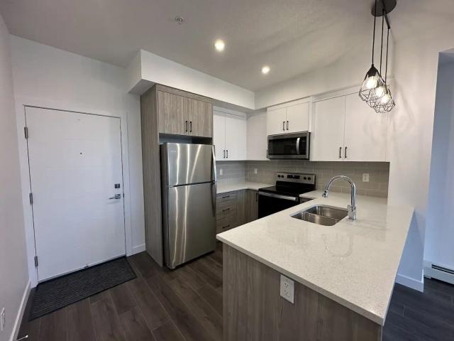 Luxurious Condo in Upscale Neighborhood