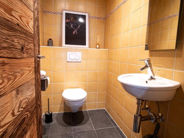 Luxurious apartment with garden and spectacular view | dreamo. Ch