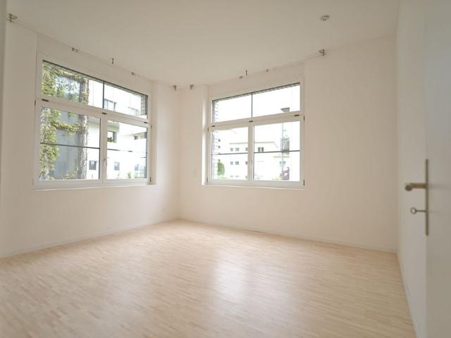 Luxurious Loft Apartment in the Heart of St. Gallen