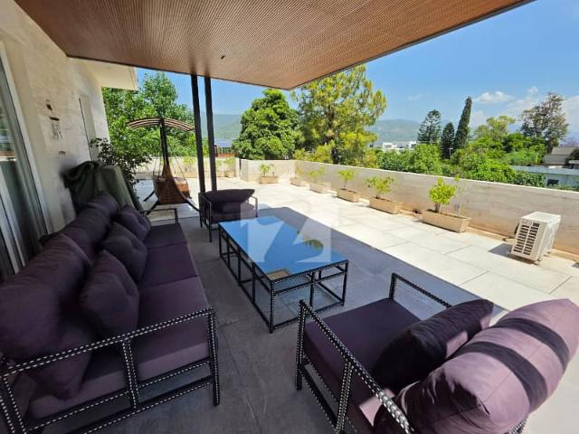 Luxurious Tastefully Furnished Apartment with Private Patio & Rooftop Terrace