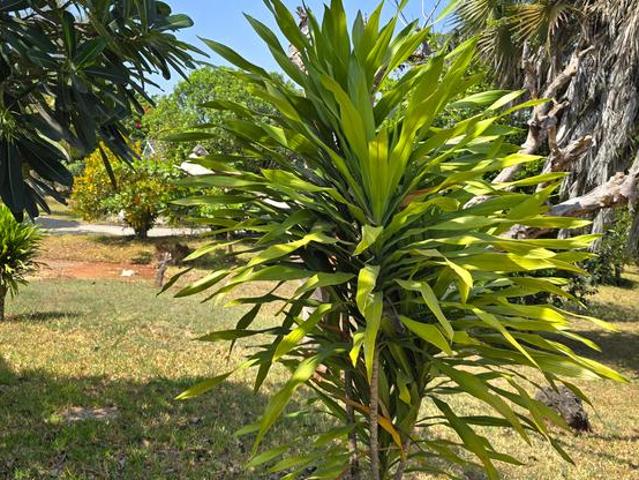 Luxurious Villa for Sale in Vipingo – Ridge