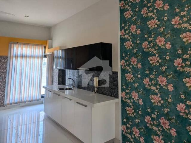 Luxury 500Yards Ground Portion For Rent In Dha Phase 8