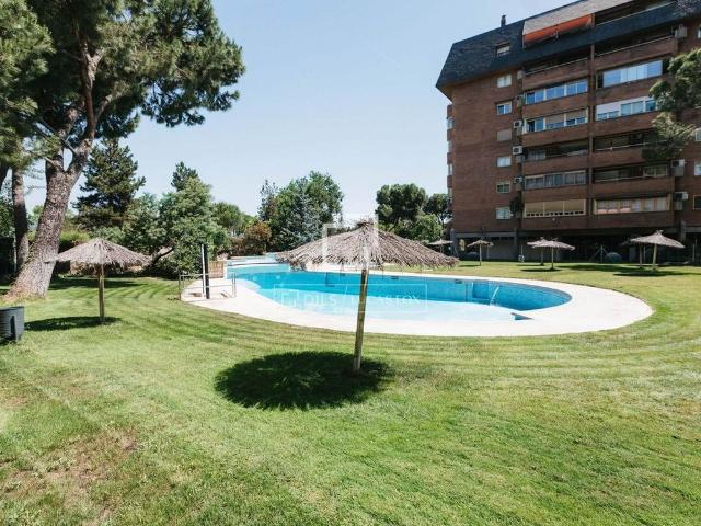 Luxury Flat for rent in Madrid, Spain